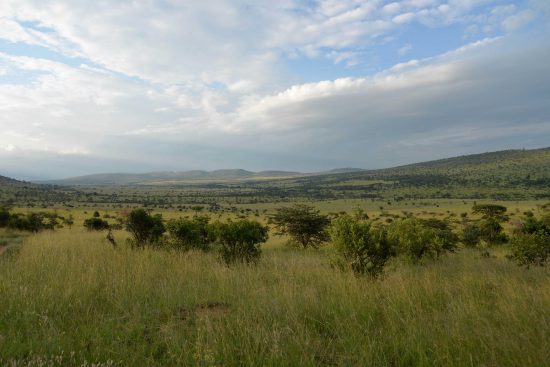 A view from Klein's Camp