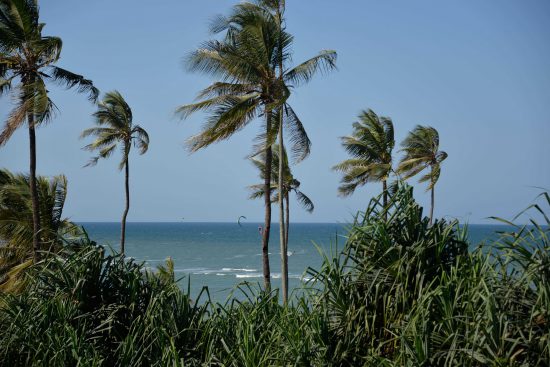 Oyster Bay in Tanzania