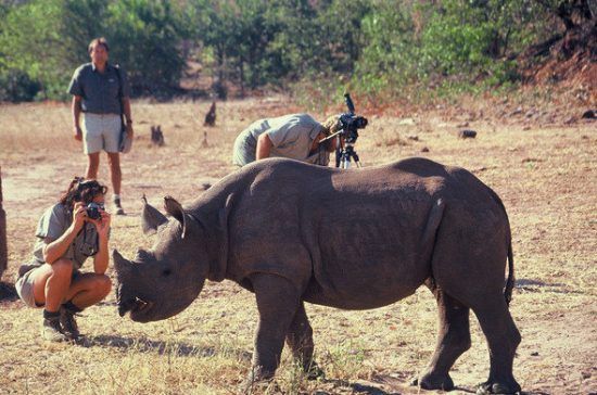 Os safaris a pé nas Cataratas Vitória oferecem encontros íntimos