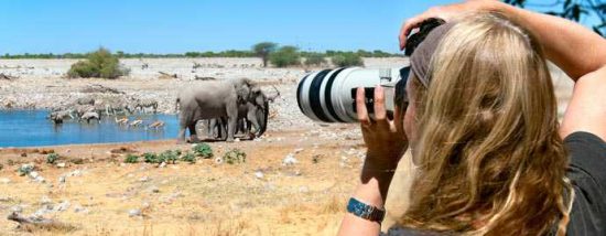 Elefantes siendo fotografiados. Imagen de Etosha National Park