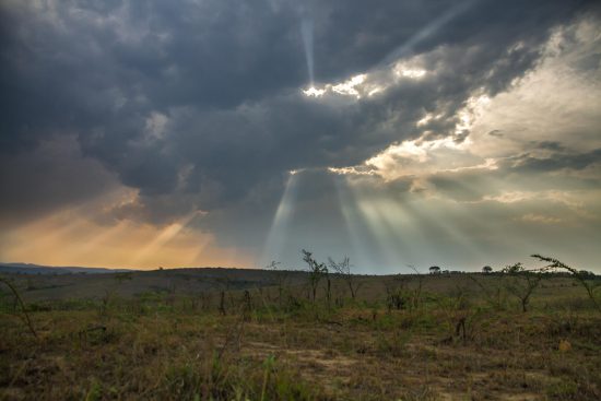 Zululand Game Reserve