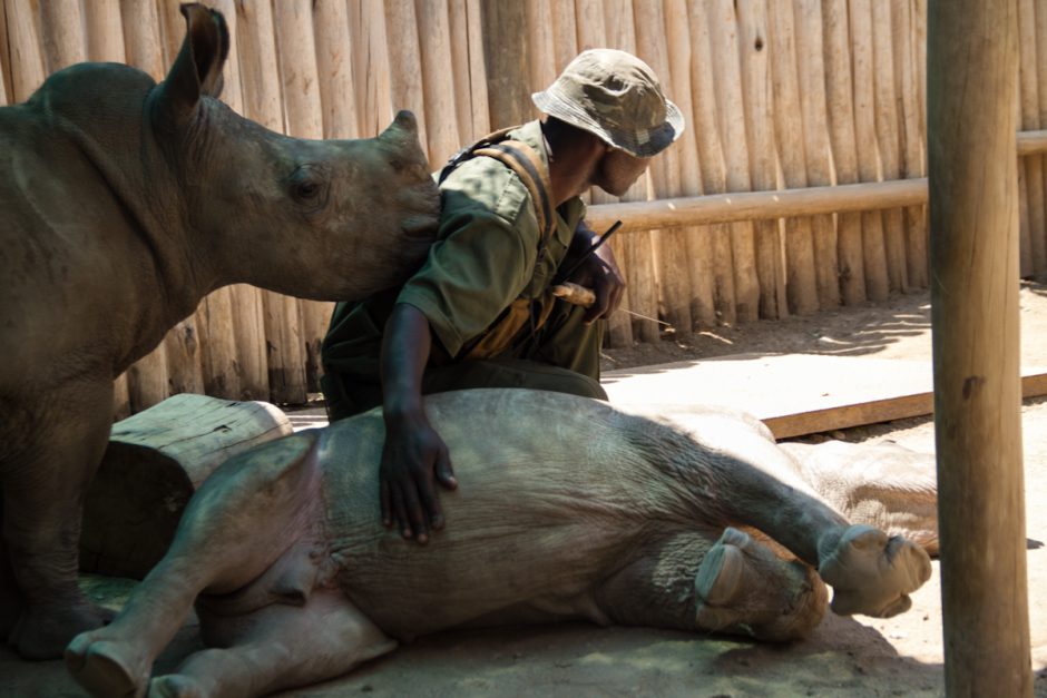 Rhino Guard in South Africa