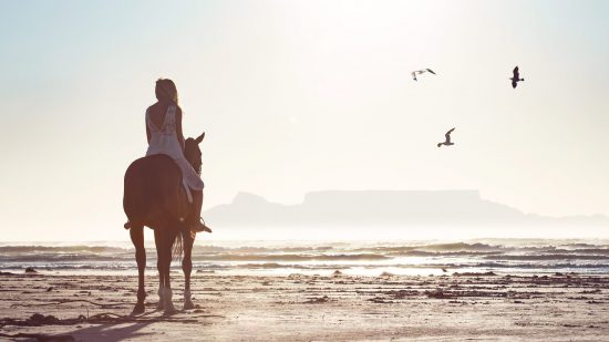 Horse riding on Cape Town's beach 