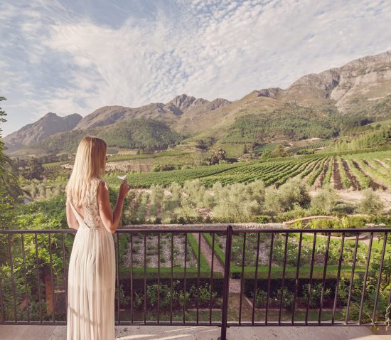 The spectacular view within the Winelands