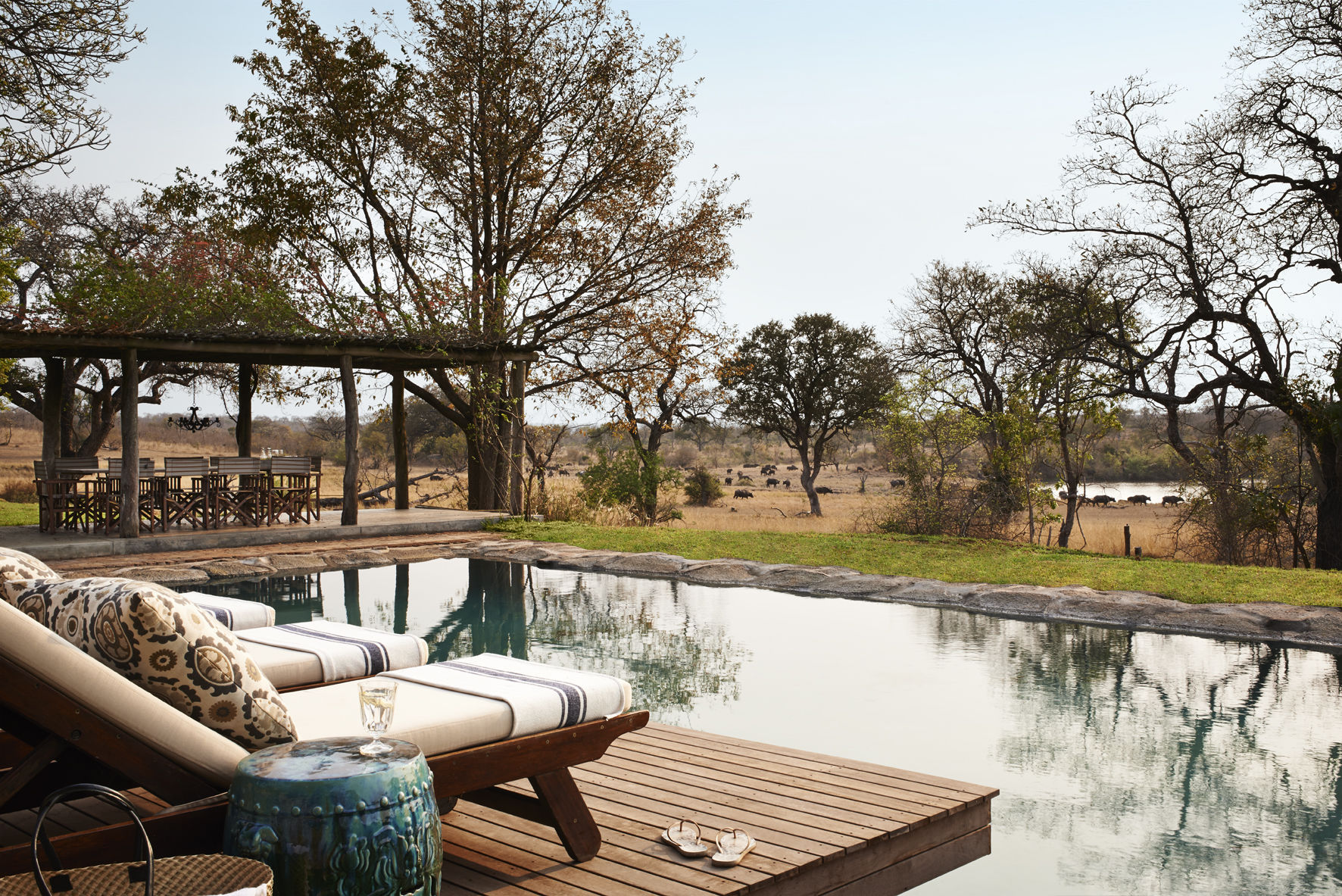 Vue de la piscine du Singita Castleton Camp