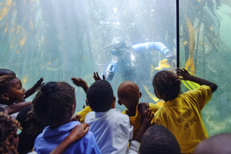 Enfants émerveillés devant un plongeur à l'aquarium Two Oceans Aquarium.