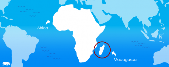 An Africa Map indicating Madagascar 