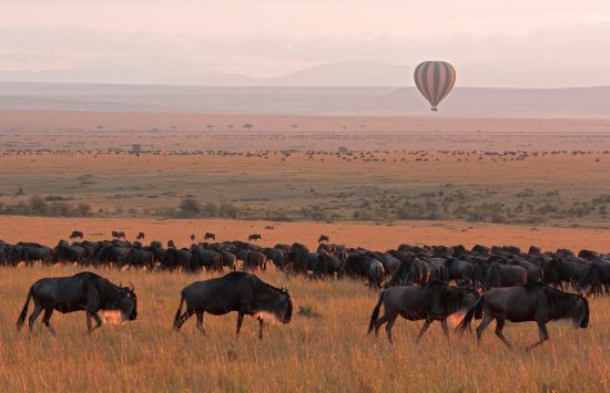 Unvergessliche Reisen in Afrika.