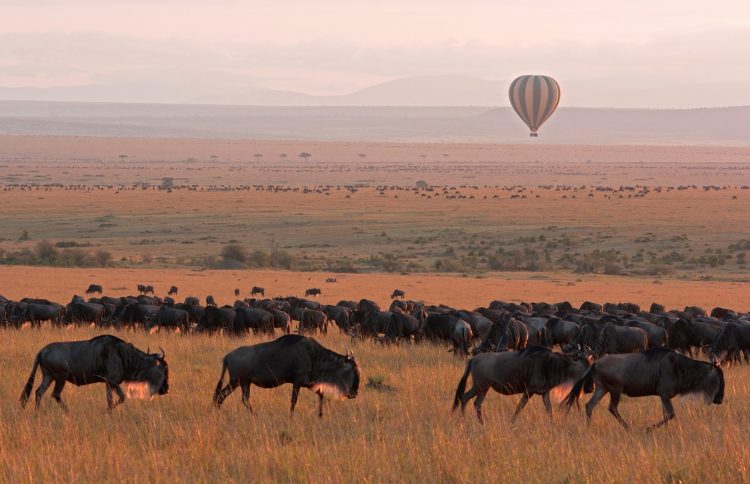 Balão de ar quente no Serengeti, Tanzânia