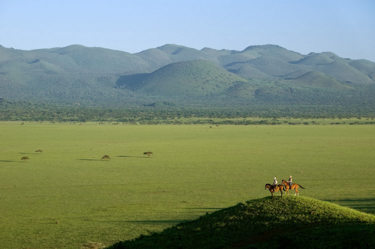 Viajantes percorrem cenário da grande migração dos gnus a cavalo