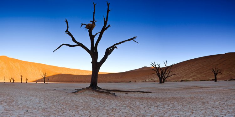 Sossusvlei mit vertrockneten Bäumen und Sanddünen - Namibia