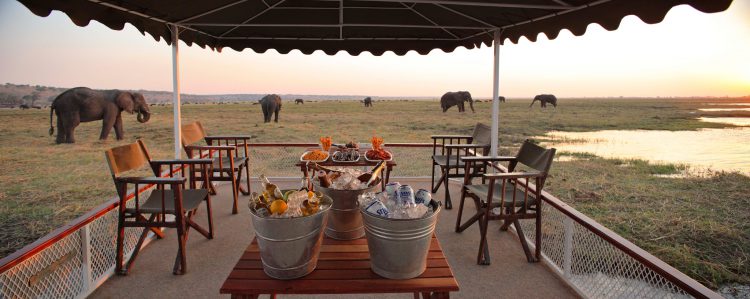 Chobe Under Canvas: jantar e drinks, Botsuana