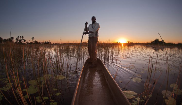 Nénuphares et coucher de soleil pour un safari au fil de l'eau au Botswana.