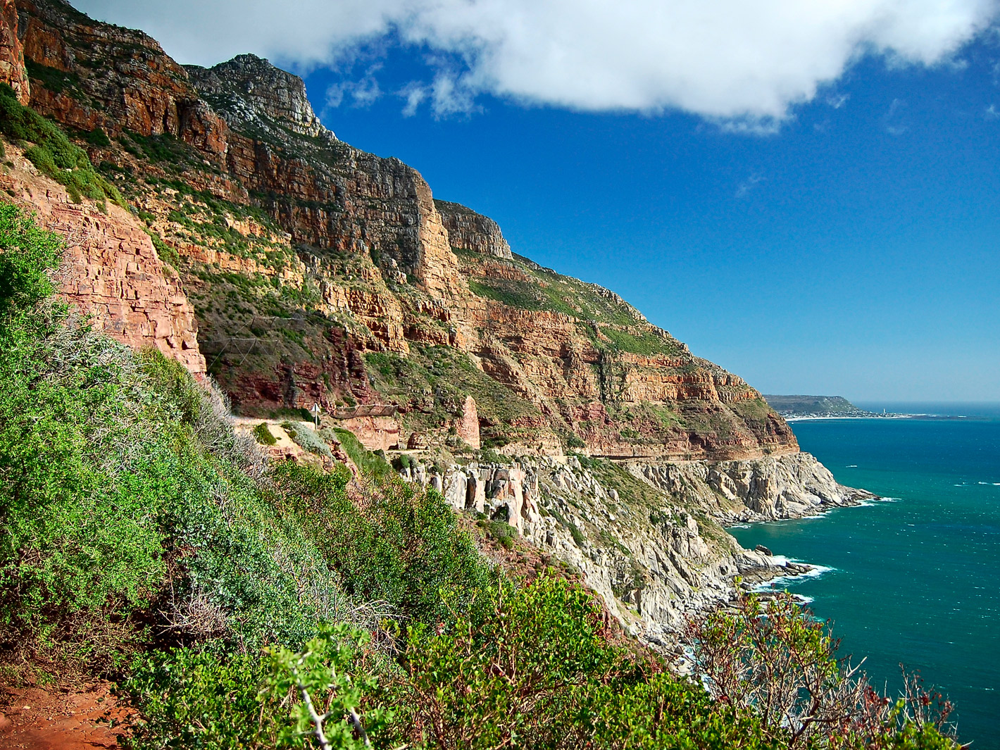 Chapman's Peak Drive View