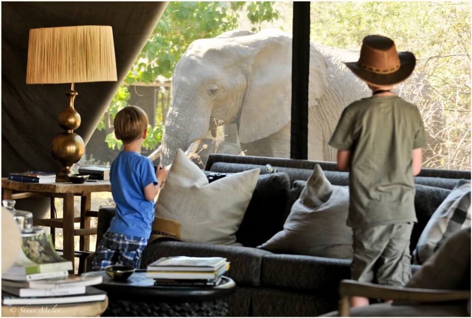 Children watch an elephant nearby