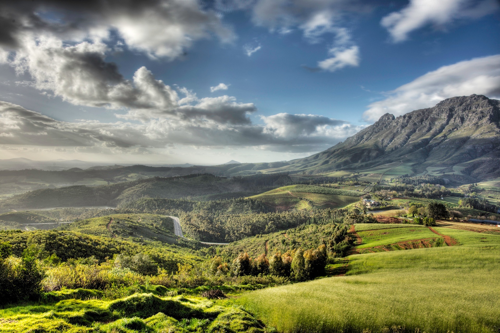 Vins d'Afrique du Sud | Stellenbosch