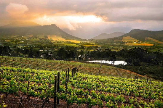 franschhoek wine lands