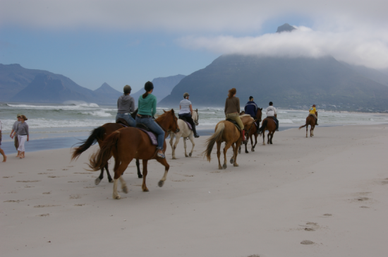 Ausritt am Strand von Noordhoek