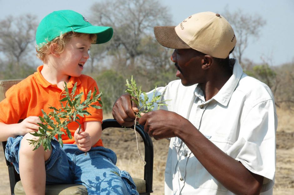 Tintswalo guide teaches a boy about plants