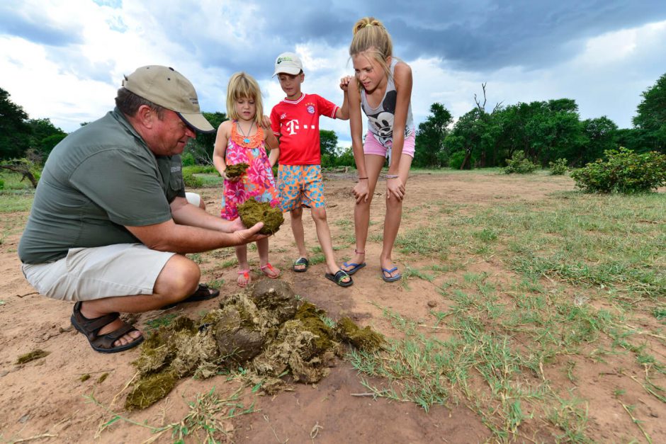 A guide shows children scats - Victoria Falls River Lodge, one of the top child-friendly lodges in Africa