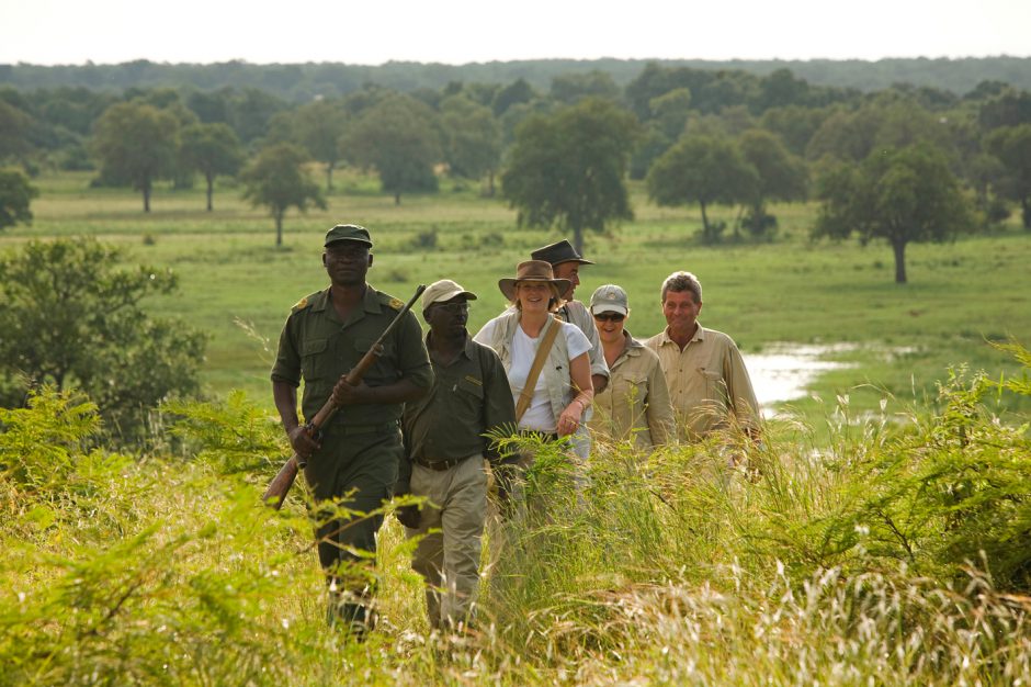 Walking safari in South Luangwa, Zambia