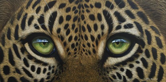 David Bucklow's realistic art of leopard's eyes