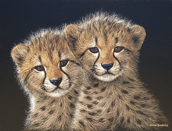 David Bucklow's art technique with two cheetah cubs