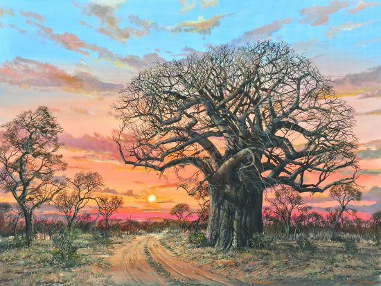 Errol Norbury's painting of baobab at sunset