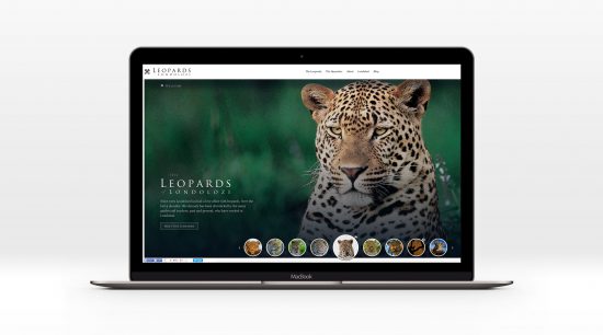 The website for Leopards of Londolozi