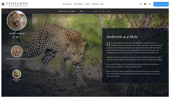 The website for Leopards of Londolozi