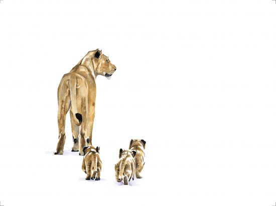 Sue Dickinson's painting of lioness with cubs