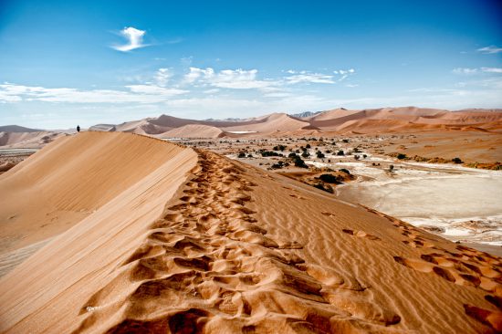 Footprints in Namibian dunes