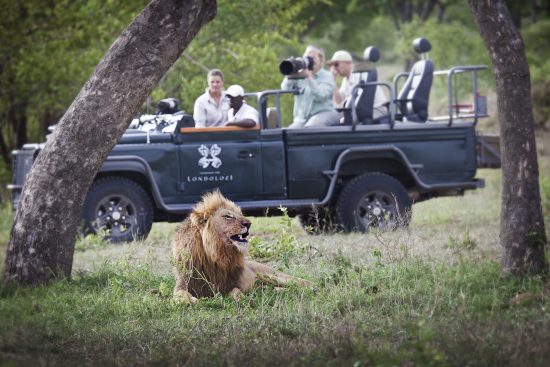 Capture members of the Big 5 on Photographic Safaris 