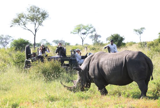 Londolozi offers memorable Photographic Safaris