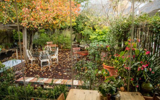 The Starlings courtyard perfect for outdoor breakfast 