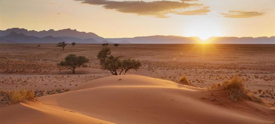 Sunset in the Namib Desert