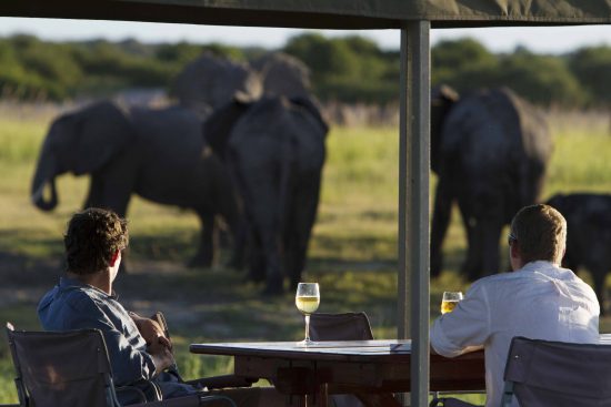 Africa's elephants can be viewed at Chobe Lodge 