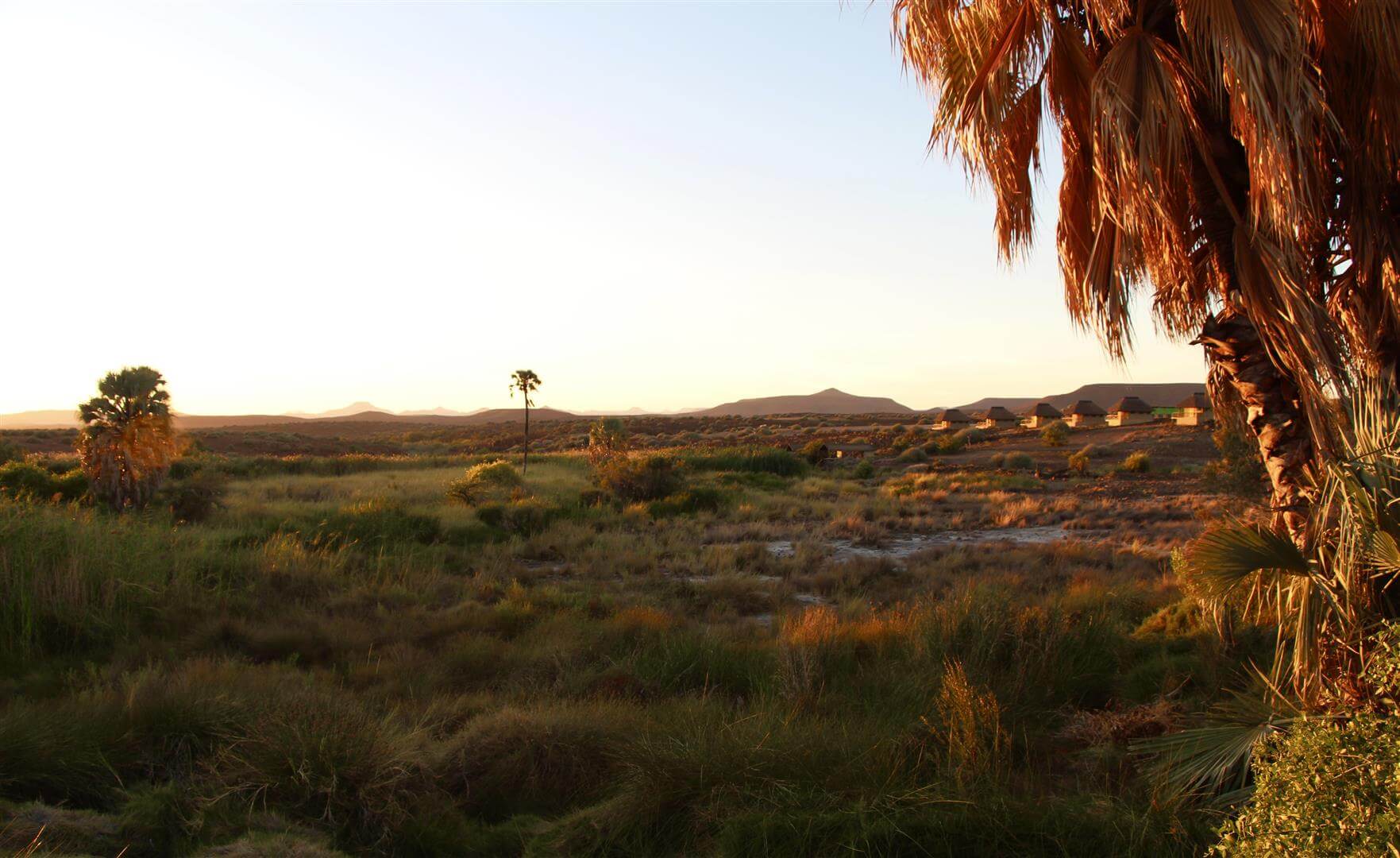 paysages verdoyants du damaraland au coucher du soleil namibie