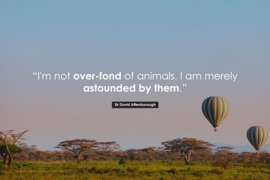 David Attenborough Poster Quote