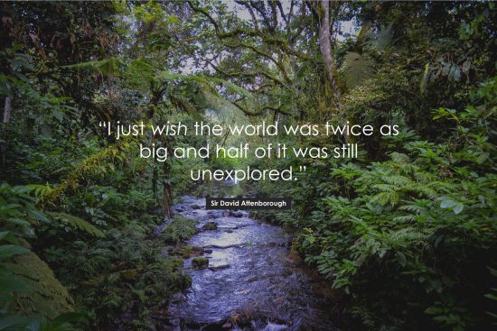 David Attenborough Poster Quote