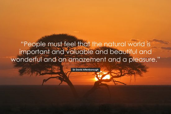 David Attenborough Poster Quote