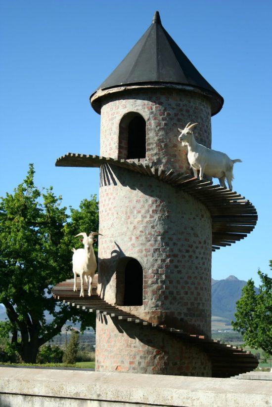 The iconic Fairview Goat Tower at the Paarl Wine Route