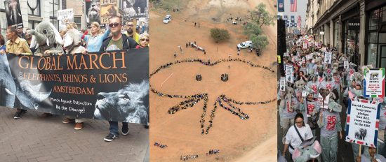 Join the March for elephants and rhinos