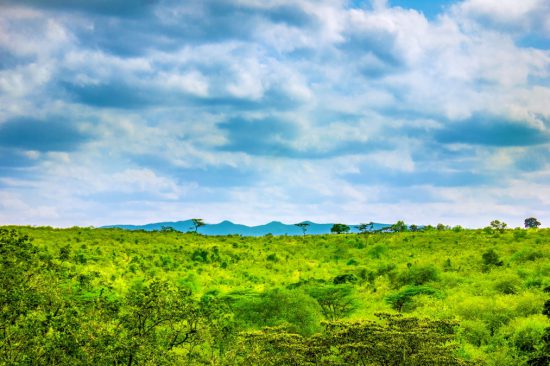 Ngong Hills, no Quênia