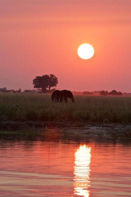 African sunset with an elephant