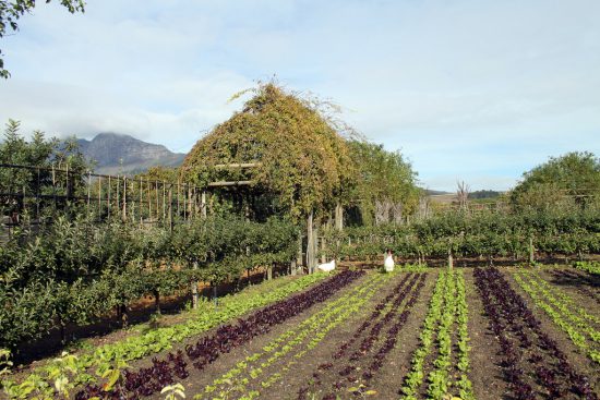 Mountain views and gardens at Bablyonstoren