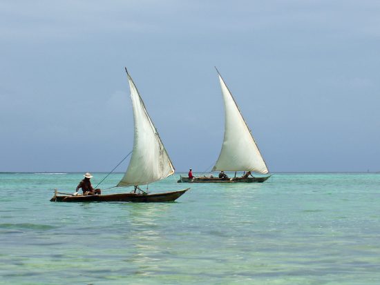 Dhows sailing on the clear waters of Zanzibar 