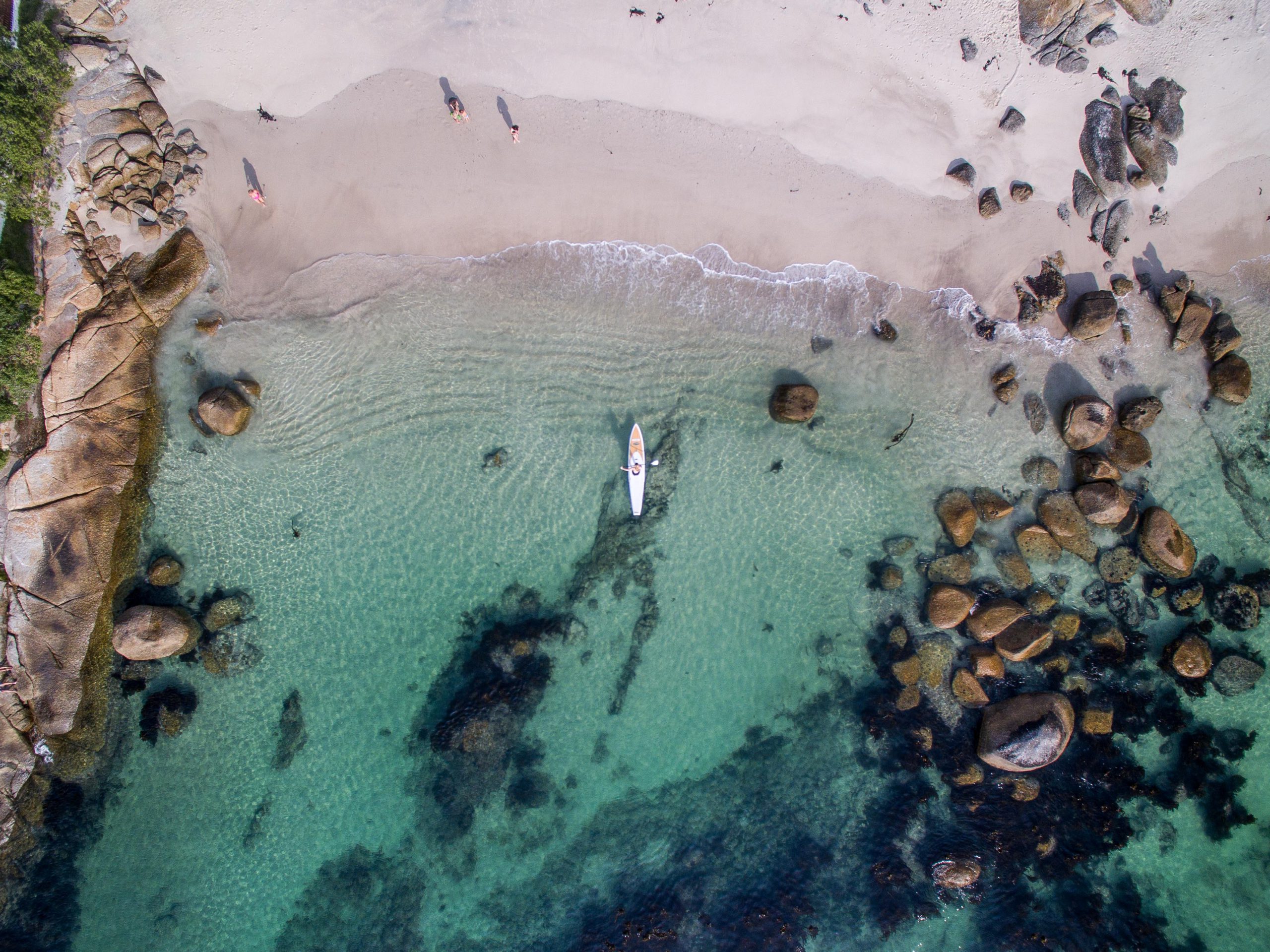 SUP on water in Cape Town