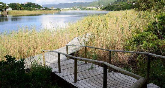 Perfect boardwalk to unwind at Wilderness