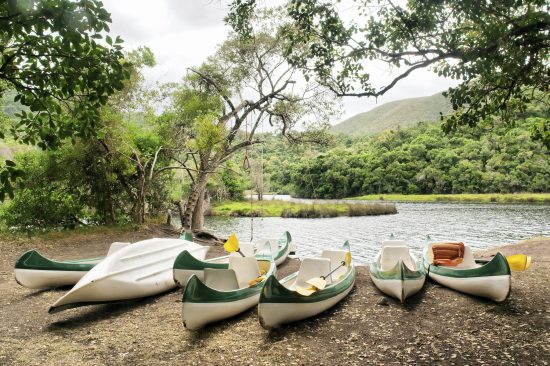 Group of boats on the shore